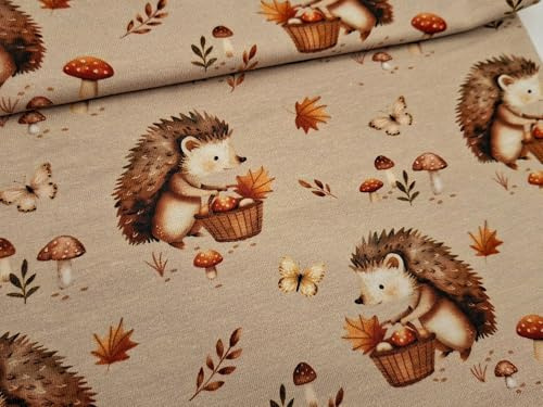 Baumwolljersey Stoff Kinder Fahrzeuge & Tiermotive – 94% Baumwolle 6% Elasthan – Öko-Tex Standard 100 – 150 cm breit – Meterware ab 50 cm für Baby- & Kinderkleidung (Igel & Pilze)