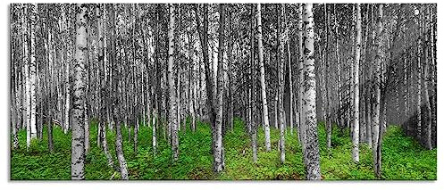 Pixxprint Glasbild Panorama, Wandbild aus Echtglas, kleiner ansehnlicher Birkenwald, 120x50 cm, inkl. Aufhängung und Abstandshalter