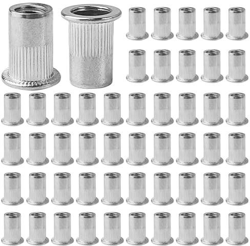 Lot de 100 écrous M8 inox rivets filetés écrous à sertir 10 mm convient plaques métalliques et plastique (argenté)