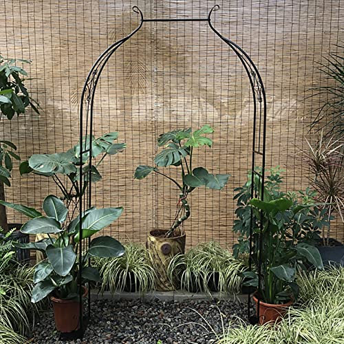 Metal Garden Arch for Small Climbing Plants Stylish Half Pergola Arbor for Indoor/Outdoor Use Easy Assembly Elegant Rose Arch Decoration