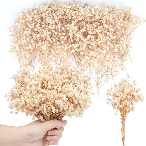 200PCS Mini getrocknete Baby Atem Blumen 4000+Pressed Real Natural Gypsophila Bulk Natürliche Elfenbein Weiß getrocknete Blumen für Haar Zubehör Hochzeit Kranz Karte Herstellung Tisch Vase (Beige)