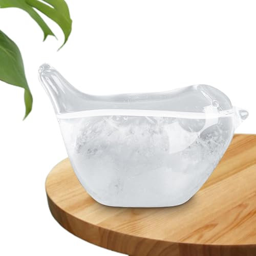 Prévisions Météo En Verre Tempête - Verre Tempête Météo, Verre De Tempête De Prévision Météo En Forme D'oiseau | Station De Prévisions Météorologiques De Bureau Pour Les Décorations De Table