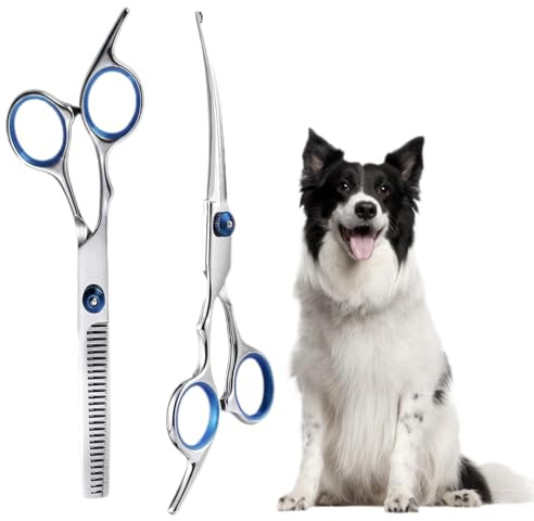 2 Piezas Tijeras para Perros, Tijeras Profesionales para Perros y Gatos, Tijeras para Mascotas de Acero Inoxidable, Con Puntas Redondas de Seguridad, Tijera de Aseo para Mascotas (Azul)