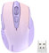 TECKNET Kabellose Maus, Pro 2.4G 4000 DPI Wireless Maus 6 Tasten mit Nano Empfänger, 24 Monate Batterielaufzeit, 5 Einstellbare DPI-Pegel für PC Laptop iMac MacBook Microsoft Pro, Office Home