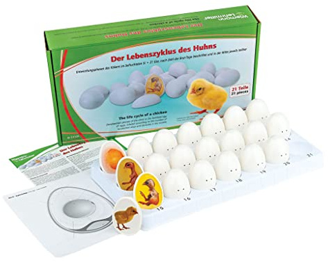Der Lebenszyklus des Huhns 21 Teile | Wiemann Lehrmittel
