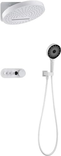 DRFGNF Ensemble de Douche thermostatique, pommeau de Douche à Effet Pluie en Cascade et pommeau de Douche à Main, pommeau de Douche Double, Ensemble de Robinet de Douche, avec Corps de vanne d'affi