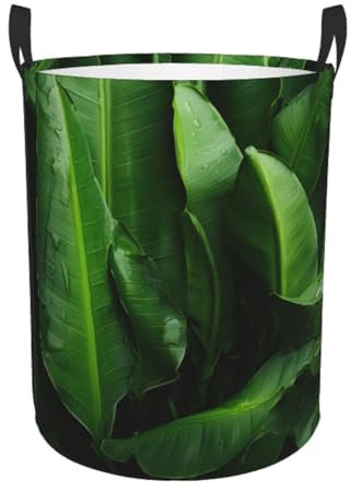 Panier circulaire imprimé feuilles de bananier fraîches, panier à linge sale adapté pour les maisons, les chambres et les chambres