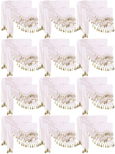 JaGely 24 Pieces Belly Dance Hip Scarf Belly Dancer Skirt with Gold Coins Bling Outfit Coin Costumes for Women(White)