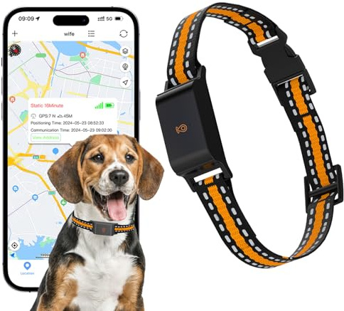 Intelligente Localizzatore GPS per Cani, Collare per Cani con Posizione in Tempo Reale, IP67 Localizzatore, Senza Abbonamento Compatibile con IOS & Android Cat Tracker
