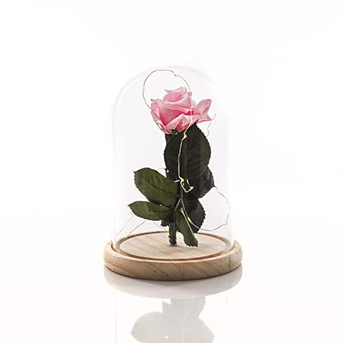 Athypic Campana Rosa eterna, Campana della Bella e della Bestia, Rosa eterna, Regali di San Valentino, Natale, Compleanno
