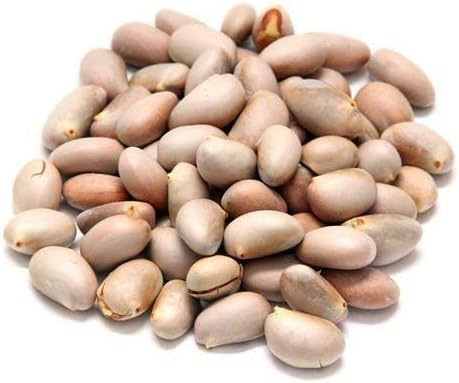 Swathi Fresh Jack Fruit Seeds Ready to Cook or Roast Traditional Indian Culinary Delight 350g