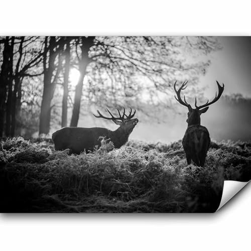 murando - Fototapete Premium-Vlies Hirsch Tiere, 300x210 cm, Schlafzimmer