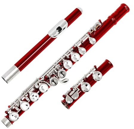 Querflöte 16 Geschlossene Offene Löcher C-Tonart Professionelles Querflöte-Konzertmusikinstrument Mit Box, Stoffstab, Handschuhen(Red)