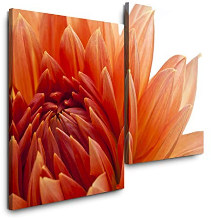 Sinus Art orange Dahlien Blüte 120x80cm 2 Kunstdrucke je 70x60cm Kunstdruck modern Wandbilder XXL Wanddekoration Design Wand Bild