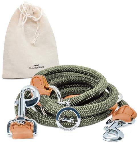 FREUDENTIER Hundeleine 2m - Führleine verstellbar - Robustes Nylon abgerundet mit stilvollen braunen Lederelementen - Leine Hund für mittelgroße & große Hunde (waldgrün)