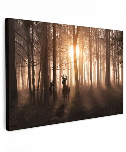 MuchoWow© Impression sur Toile Photo Peinture Tableau Decoration Murale | 120x80 cm - Chambre Salon Maison Deco Cuisine Forêt - Cerf - Soleil - Arbres - Hiver - Nature - Animaux