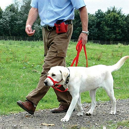 Haustier Hund Anti Bark Bite Kopf Leine Nylon Hundetraining Kopfhalsband No Pull Safe Mundgeschirr Stoppt Hund Ziehen Mit Kopf Leine (Color : Black, Size : S)