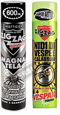 Zig-Zag Specialist - Magna Tela 600 ML - Vespaio Power, Insetticida, Insetticida per Nidi di Vespe e Calabroni 600 ml