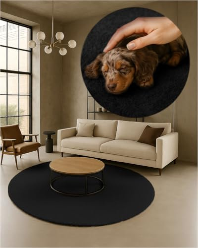 TEXMAXX Weicher Kurzflor Teppich Wohnzimmer mit rutschhemmender Rückseite (100 x 100 cm Rund) - Modern für Flur, Esszimmer und als Schlafzimmer Teppich in Schwarz - Waschbar bis 30 Grad