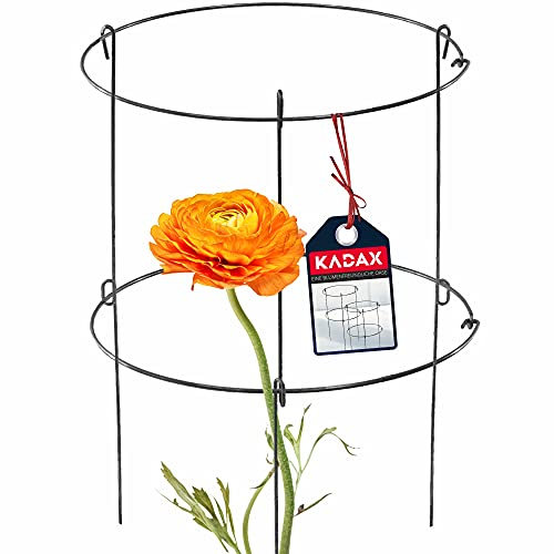 KADAX Tuteur de jardin en acier thermolaqué - Support pour plantes grimpantes pour jardin, balcon - Hauteur : 60,5 cm