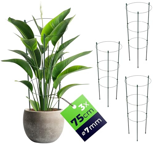 KADAX Växtstöd för växter, 75 cm, set om 3, växtstöd av stål, blomstöd, växthållare, spaljé för klätterväxter i trädgården eller blomkrukan, ranktur för tomater