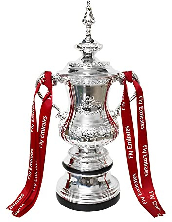 SWAYVES Resin Footballs Trophy Model FA Cup Trophy Replica Plating Silver Men and Women Fans Collect Home Souvenirs Trophies,32Cm