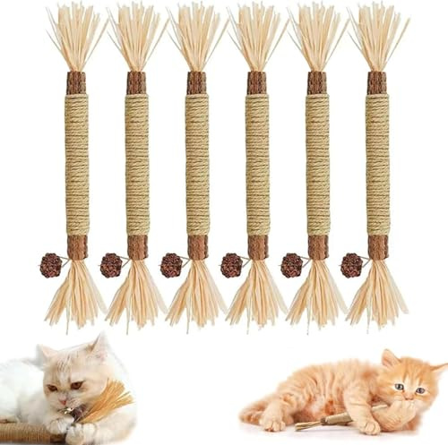GINGER TECH Silvervine, 6 bastoncini dentali naturali Silvervine, bastoncini da masticare per gatti, giocattoli da masticare con erba gatta per la pulizia dei denti, giocattoli interattivi per gatti e