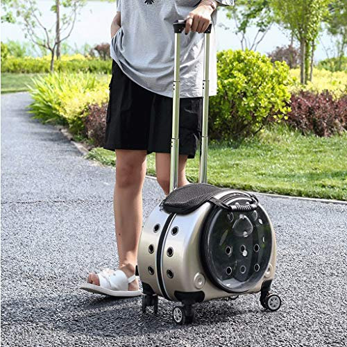 Katzen Transportboxen, Hundetrolley bis 10 Kg mit Premium-rädern um Katzen-reise-fördermaschine, Hunderucksack Kleine Hunde mit Vergrößerungs Rädern und Vent (Color : Gold)