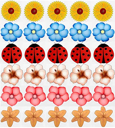 30PCS Window Fly Traps, Flies & Bug Window Fly Trap, Fly Trap Killer Stickers, Floral Pattern Design Sticky Fly Catcher for Indoor Houseflies Fly Gnat