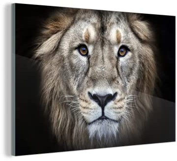 MuchoWow Glasbild Glasfoto Wandbild Bilder Deko 150x100 cm Löwe - Porträt - Wild