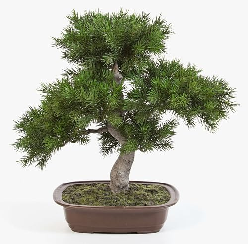 artplants.de Kunst Bonsai Pinie Selena in Dekoschale, dunkelgrün, 48cm - Künstlicher Bonsai - Deko Bonsai Busch
