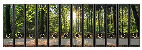 codiarts. Ordnerrücken selbstklebend | Etiketten Set für 12 breite Ordner | gestantzt mit Griffloch | Rückenschild breit | Motiv Sonnenuntergang auf Waldlichtung