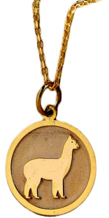 LKBEADS Collar con colgante de moneda grabada de llama de 24 mm con cadena de 45 cm | Plata de ley bañada en oro | Joyería unisex | LK_PNDN_0952