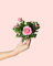 Mini Rosal Rosa | Plantas Naturales | Pur Plant