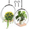 Fiotha 2 Pezzi Vasi Sospesi per Piante, Porta Vasi da Appendere, Fioriera Sospesa, con Base in Legno, Gancio per Appendere Incluso, per piante da interno, per Piante Grasse, Piante Aeree, Cactus