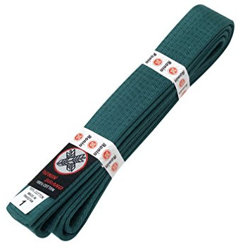 Ronin Brand Martial Arts Uniform Solid Colored Rank Belt – Yellow, Green, Orange, Blue, Purple, Red, Brown, & Black - Premium Quality (Green, 3)