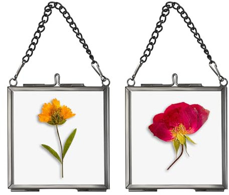 SUMTree 2 mini cornici quadrate in metallo e vetro, da appendere, in vetro geometrico, per piante, campione, clip in vetro per fiori pressati, foto 2,7 x 2,7 in/7 x 7 cm (solo cornice) (nero)