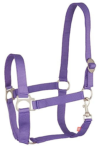 Imperial Riding Halfter Nylon IRHEconomic, Farbe:Royal Purple, Größe:XWB Full