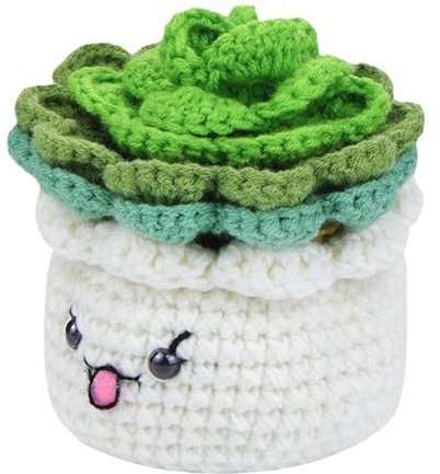 Pflanzen-Untersetzer-Häkelpaket, Pflanzen-Untersetzer-Häkelpaket Für Anfänger, Pädagogisches Strickset, Untersetzer In Einem Blumentopf- Häkel-Startpaket, Komplettes Häkelpaket Mit Video-Tutorials Für