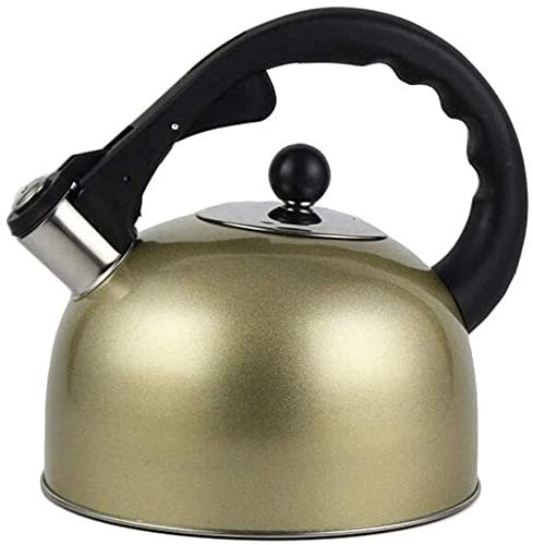 ZHANGZONG Bouilloire INOX Théière en Fonte Bouilloire sifflante Bouilloire en Acier Inoxydable, chaudière à thé et à café, chaudières à thé et à Eau de Grande capacité. pour la Maison et