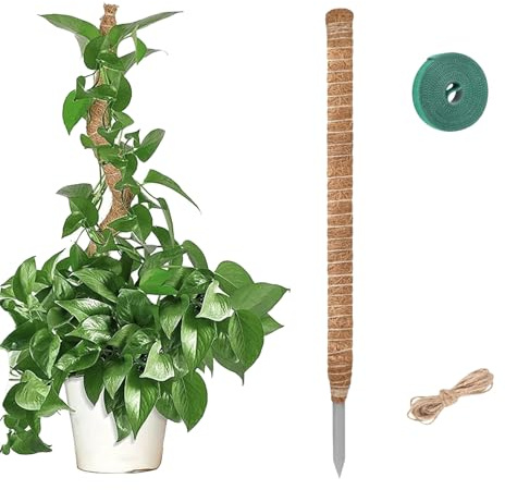 Moosstab für Monstera, Rankhilfe und Pflanzstab, für Kletterpflanzen im Innenbereich mit Zubehör: Haken- und Flauschband, Selbstschneidender Kabelbinder und Fixierseil(1, 120, Zentimeter)
