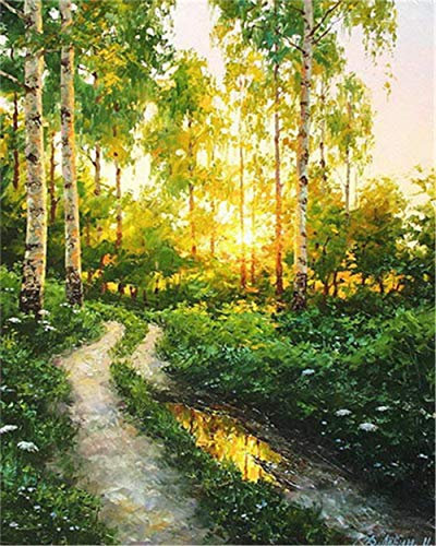 YEESAM ART DIY Ölgemälde Malen nach Zahlen Erwachsene Kinder, Sonnenaufgang Wald Pfad Zahlenmalerei ab 5 Öl Wandkunst (Sonnenaufgang, mit Rahmen)