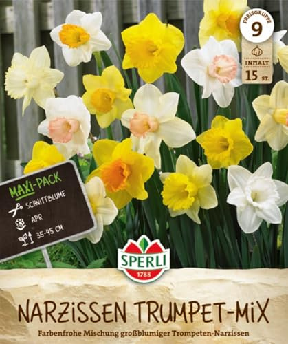 Sperli Maxi Trompeten-Narzissen Mischung 462418 - Farbenfrohe Narzissen Zwiebeln für Garten und Kübel, perfekt zum Verwildern, harmoniert mit Tulpen