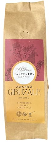 Harvestry Coffee Ground for French Press, Drip Coffee Machine, Pour Over (V60, Chemex), Aeropress, Specialty Single Origin Fairtrade Premium Medium Roast Medium Grind 250g Gibuzale