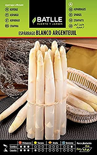 Semillas Batlle Esparrago Blanco ARGENTEUIL