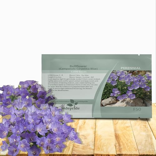 Outsidepride Carpatica Blue Bellflower Seeds for Planting - 5000 Pcs Perennial Mat-Forming Flower Seeds with Bell Shaped Blooms & Low Growth Habit for Edging Pollinator Gardens, Containers, & Borders