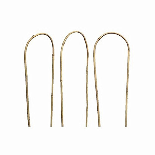 Gardman Bambus-Rankhilfe 90Cm,3 Stk 07391