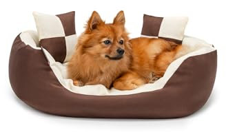 lionto Hundebett 4-in-1 mit Wendekissen aus robustem Oxford, 65x50 cm, Heimtierkissen Kratzfest mit tiefem Einstieg für Katzen und Hunde Aller Größen, inkl. Zierkissen, wasserabweisend, braun/beige