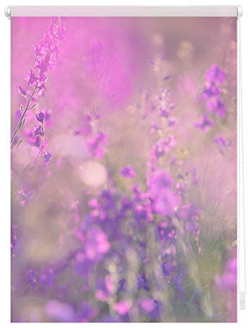 Lichtblick Klemmfix Tageslicht-Rollo mit Motiv, ohne Bohren, Blickdicht, Seitenzugrollo, Made in Germany, Blumenwiese - Fuchsia Violett 80 x 150 cm (B x L)