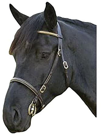 Shires Velociti GARA Clincher Inhand Bridle Cob Black